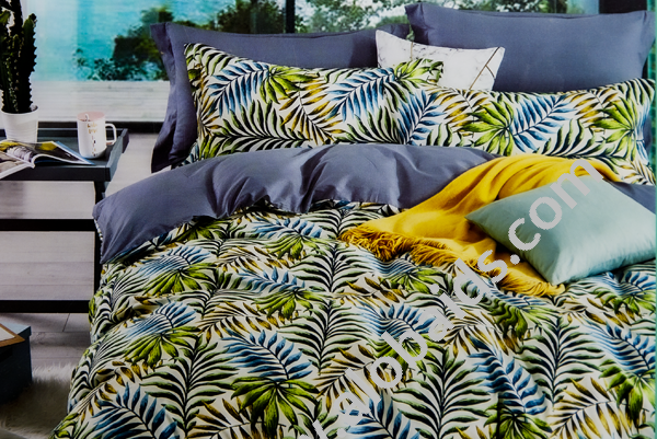 صورة المنتج